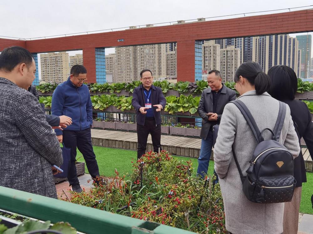 常德广播电视大学图片