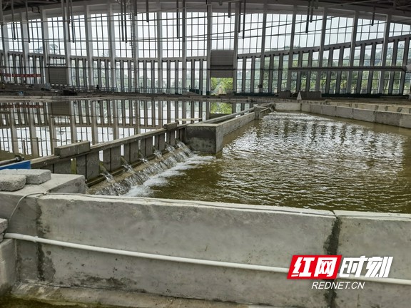 5.18上午考察鄱阳湖模型实验研究基地 (39).marked.jpg