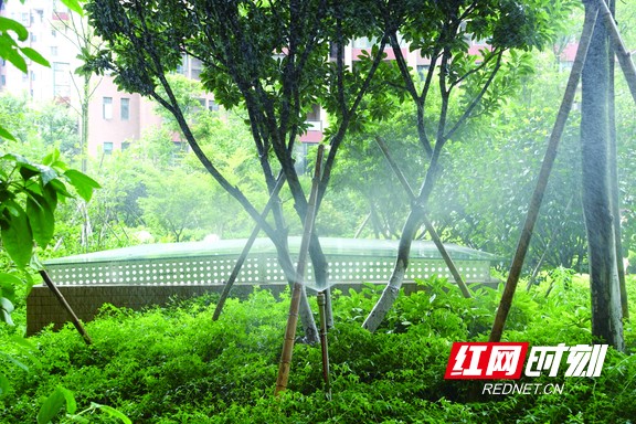 东田金湾公共用水(绿化)节水器具。.marked.jpg 东田金湾公共用水(绿化)节水器具。.marked.jpg