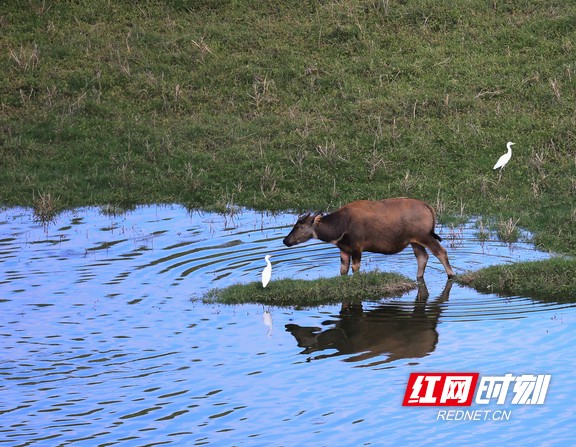 湘西花垣河4.marked.jpg 湘西花垣河4.marked.jpg