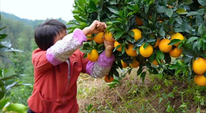 【理响中国·薪火“燃”青春】一滴水的“增值”之旅：从绿水青山到金山银山