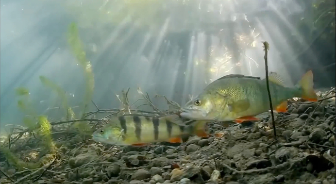 【理响中国·薪火“燃”青春】一滴水的“增值”之旅：从绿水青山到金山银山