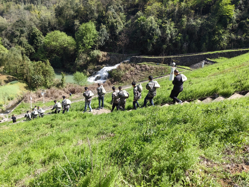 6f24d8401b54a04fe12c13af32a77a5d